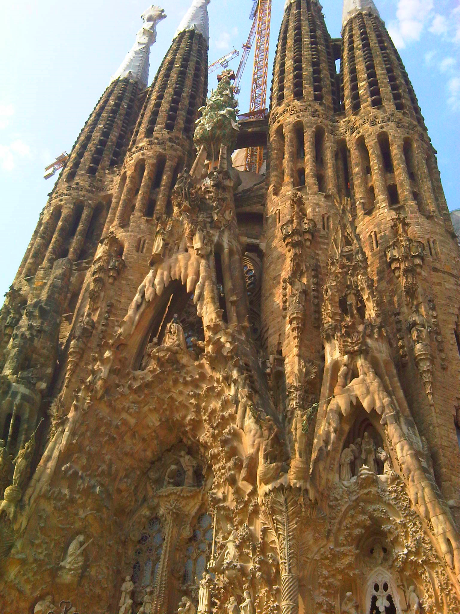 IMG03782-20130717-1040