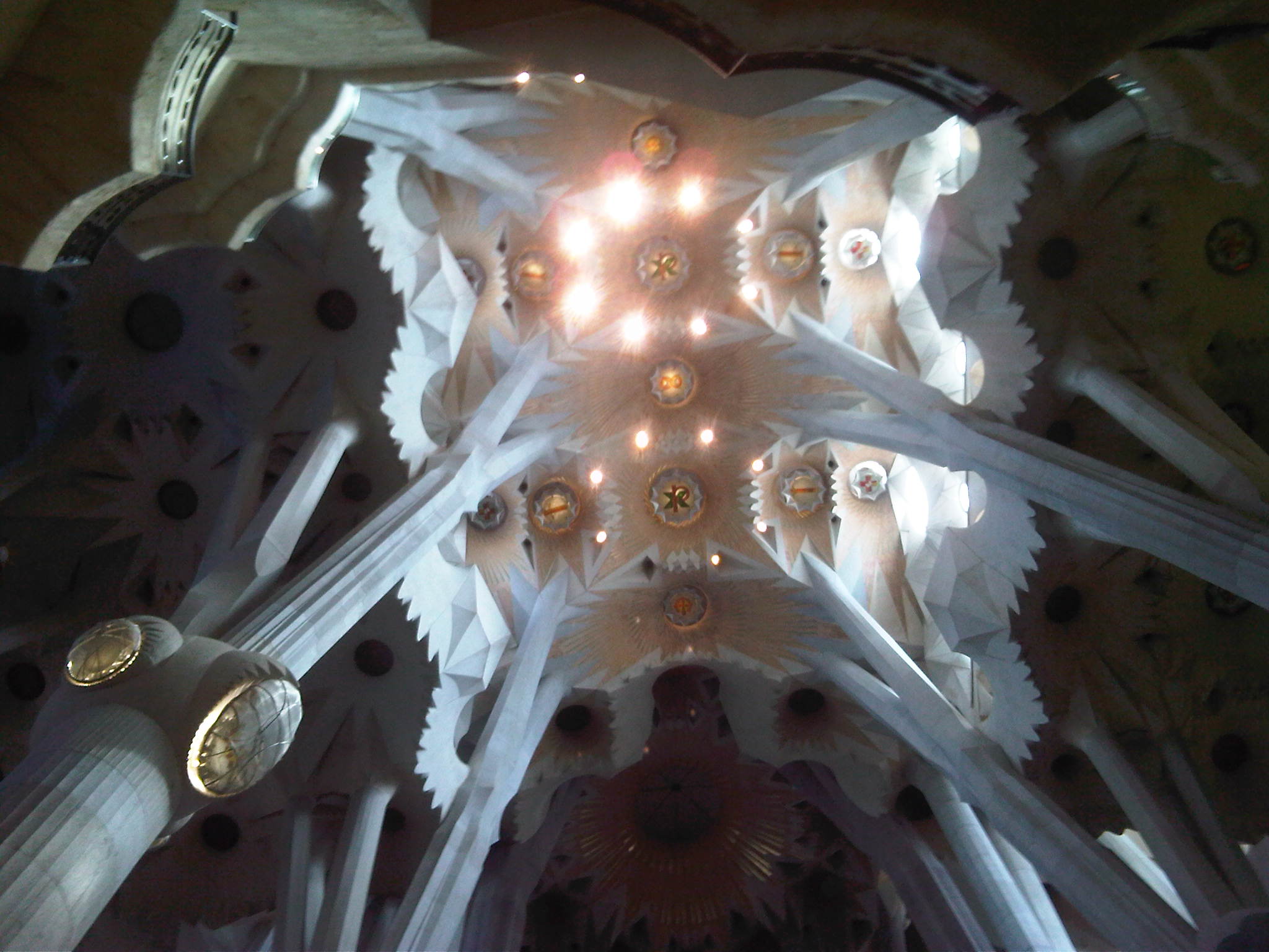 IMG03793-20130717-1205